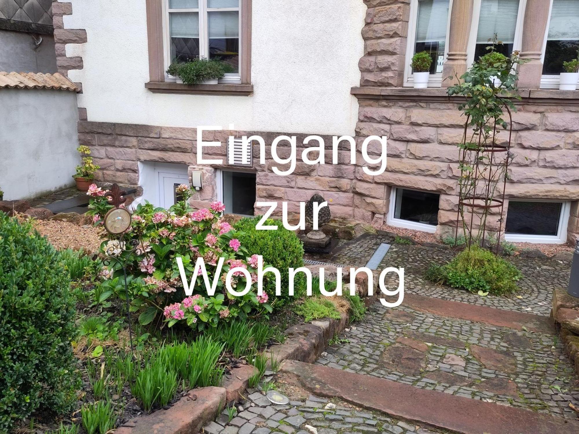 Casa Viva - Separate, Ruhig Gelegene Wohnung Quierschied Экстерьер фото